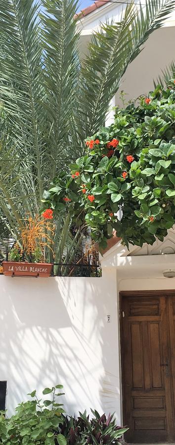La Villa Blanche ダカール エクステリア 写真